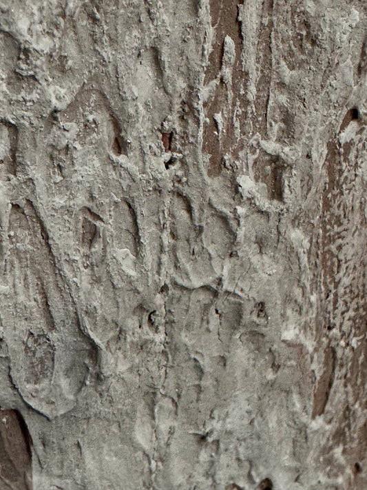 Vestige III - Texture Abstract Painting