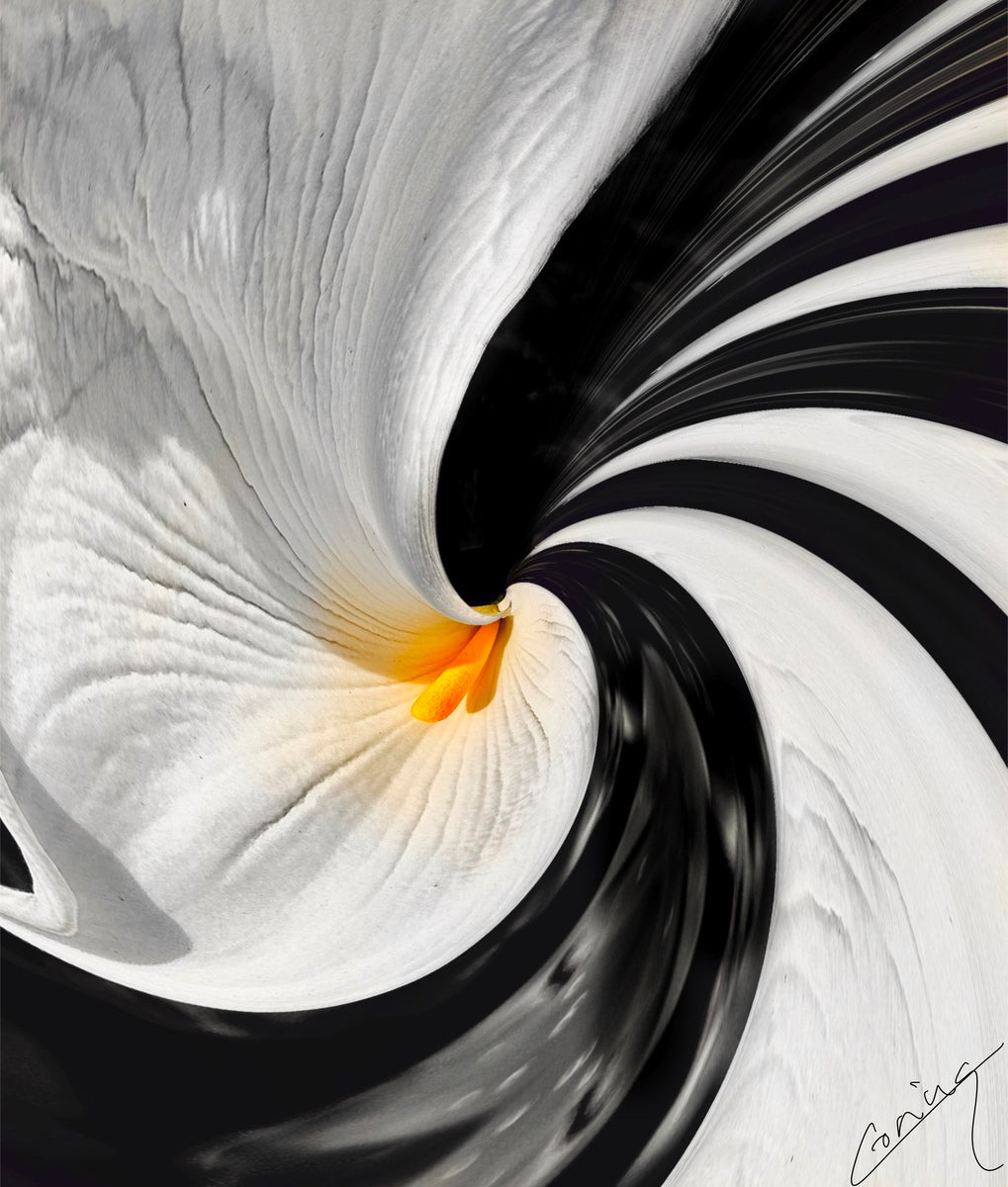 Graceful Calla Lily symbolizing calm and tranquility, evoking peace, reflection, and spiritual serenity in soft, elegant tones.