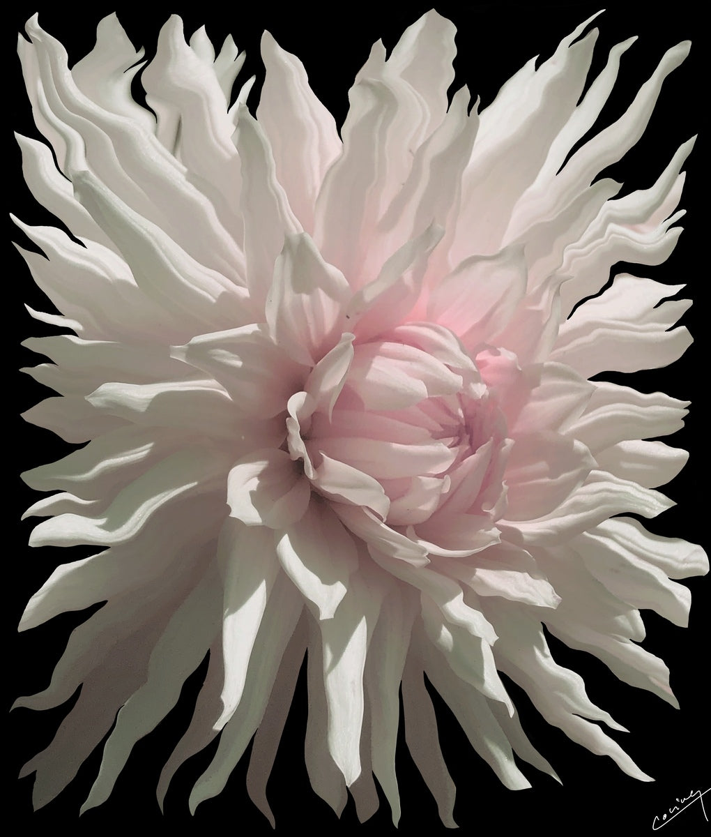 Enchanting art print of a Dahlia Queen's petals in rich colors, blending elegance and mystery, evoking a sense of wonder and magic.