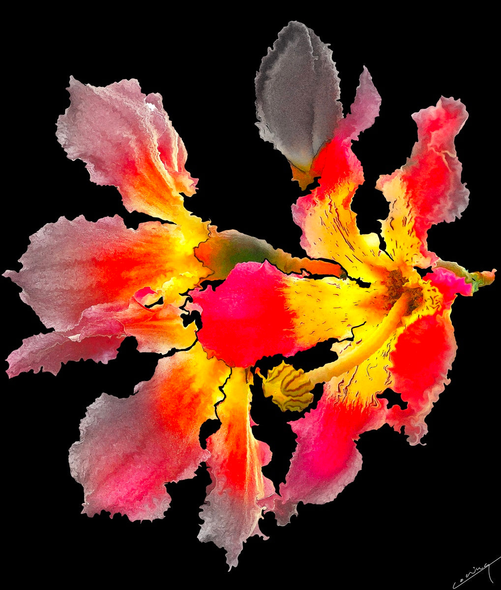 Vibrant wild orchids in red and yellow, symbolizing youth and new beginnings, with intricate petals bringing energy and optimism to the space.
