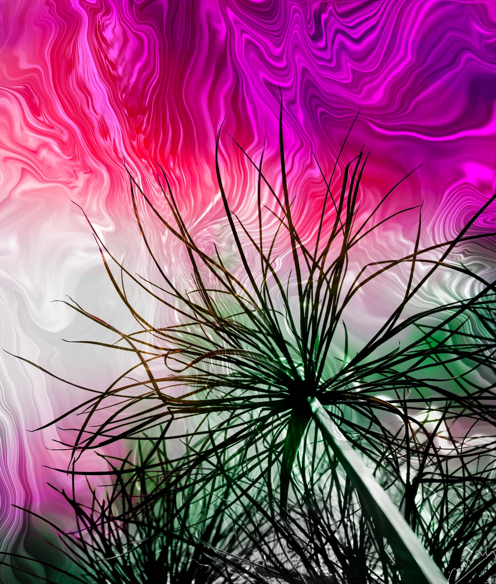 Abstract art with vibrant bursts of purple, pink, white, and green, radiating joy, positivity, and dynamic energy.