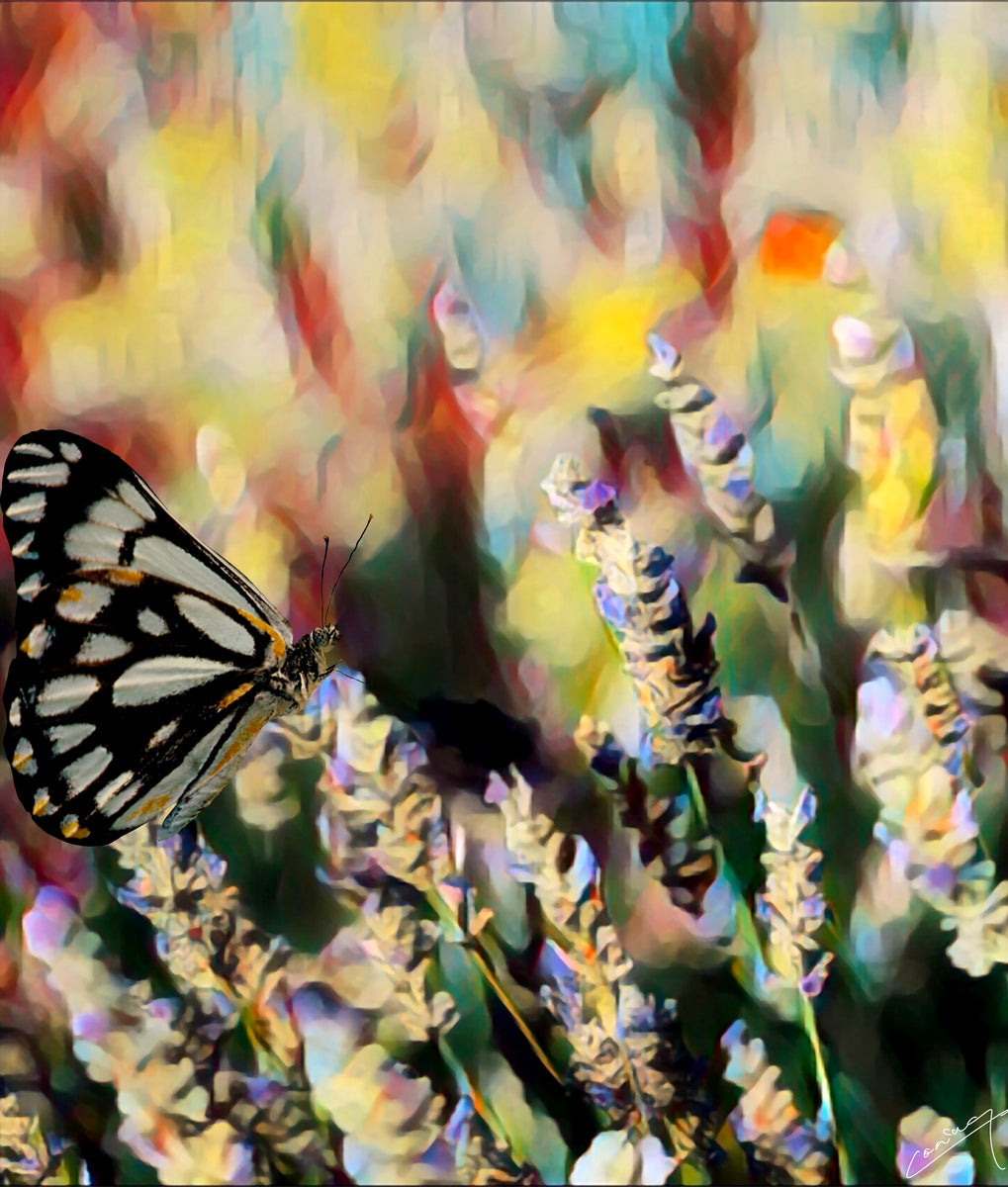 Impressionist-style digital painting of a butterfly soaring through a vibrant lavender field, evoking serenity, wonder, and the beauty of nature.