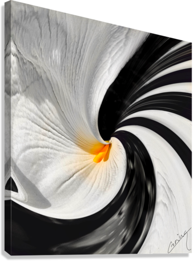 Giclée Stretched Canvas Print