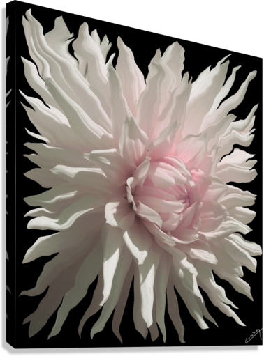 Giclée Stretched Canvas Print