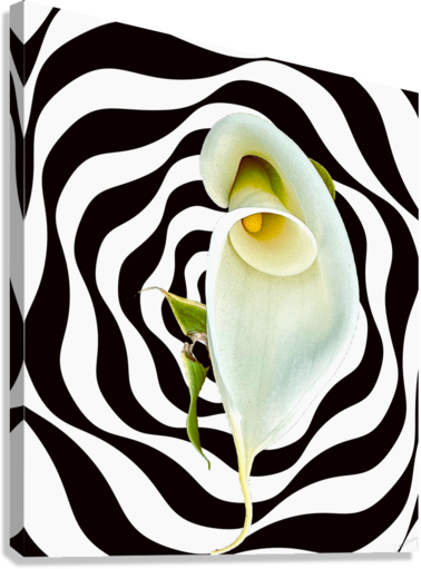 Giclée Stretched Canvas Print