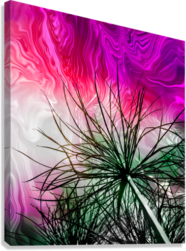 Giclée Stretched Canvas Print