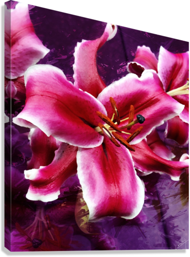 Giclée Stretched Canvas Print