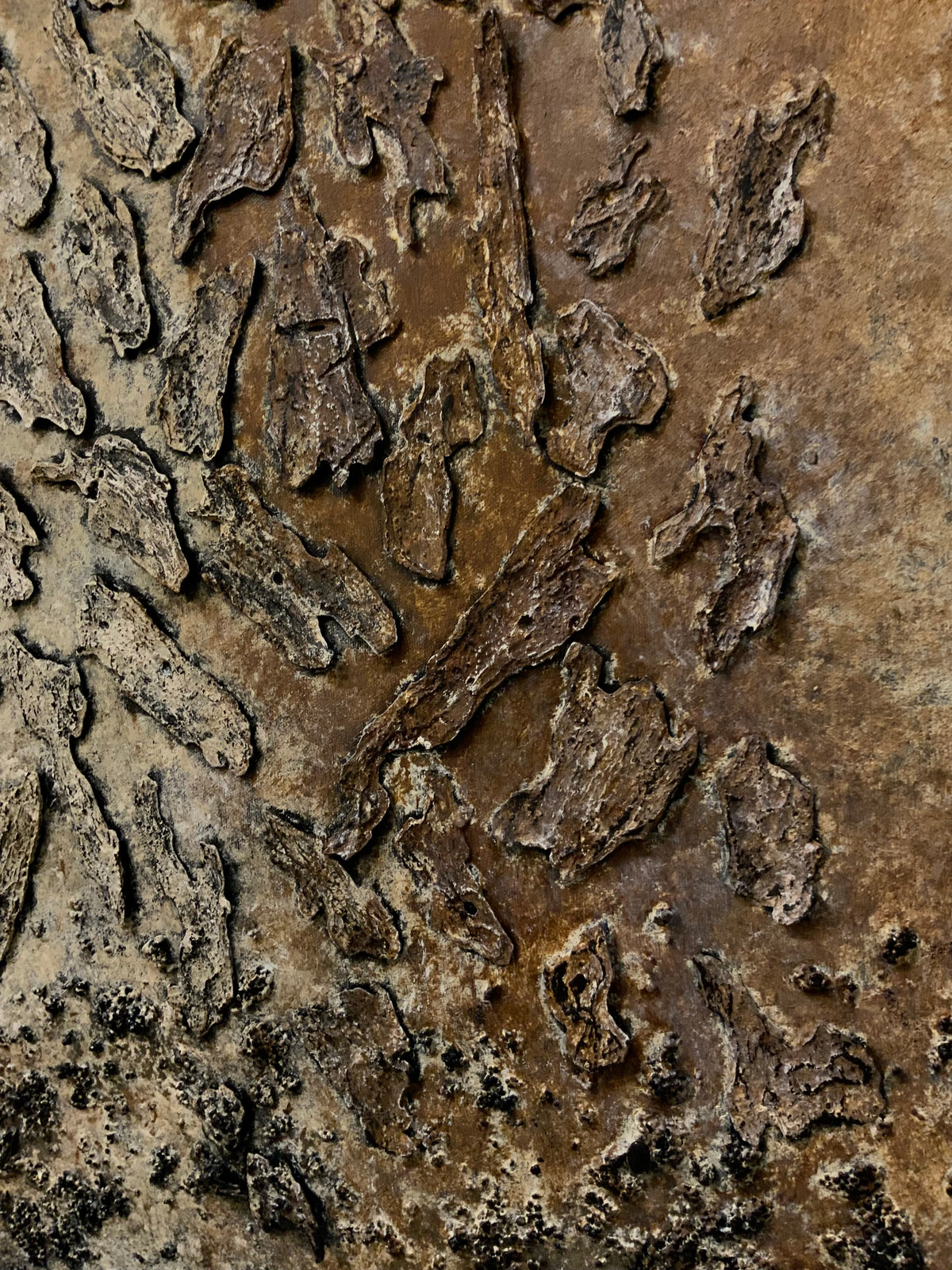 Structural Presence III - Original Textural Tree Bark Painting I One of a Kind